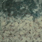 blütenmeer